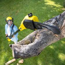 Lawn Grading and Leveling in Groesbeck, TX